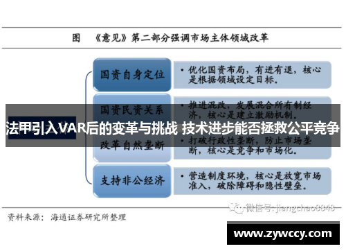 法甲引入VAR后的变革与挑战 技术进步能否拯救公平竞争